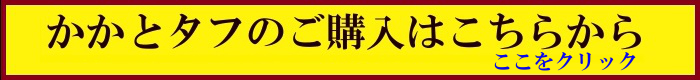 購入サイトはこちら